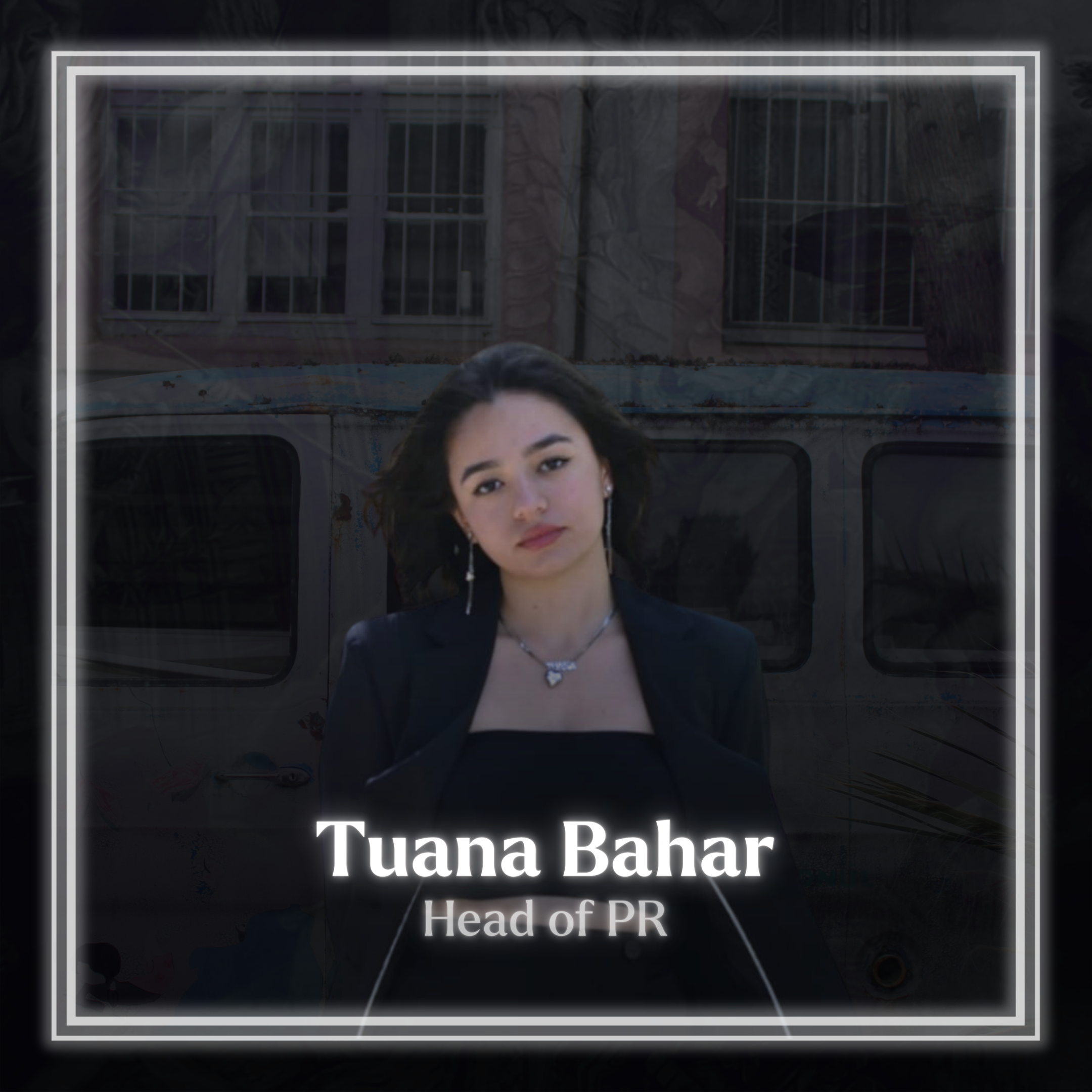 Team Member
